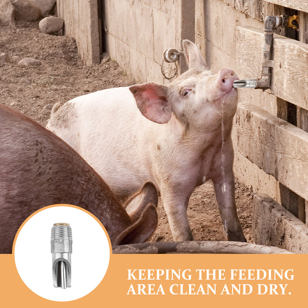 6Pcs Stainless Steel Pig Water - Tools Heavy Equipment 리뷰 및 가격