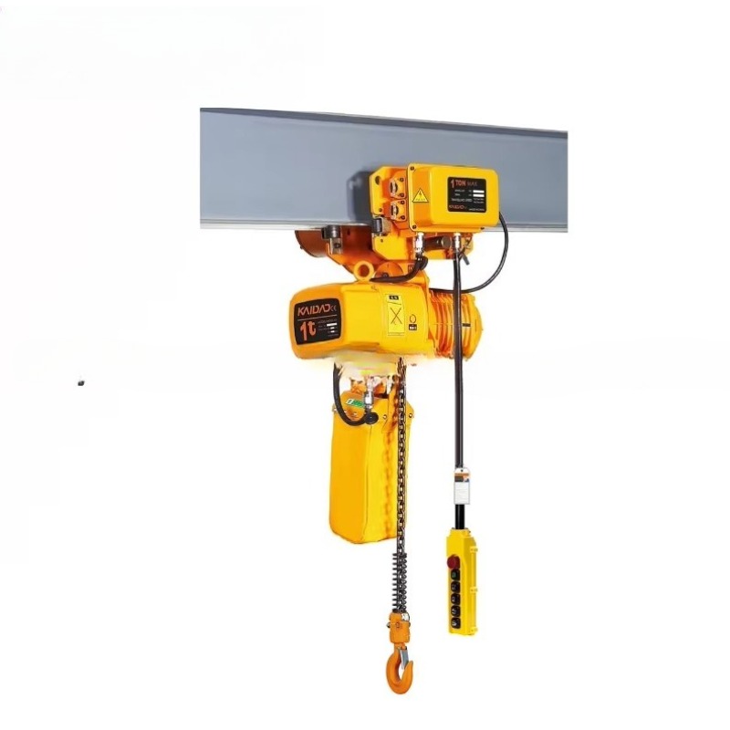 Dual Speed Electric Chain Hois - Heavy Equipment Industry 리뷰 및 가격