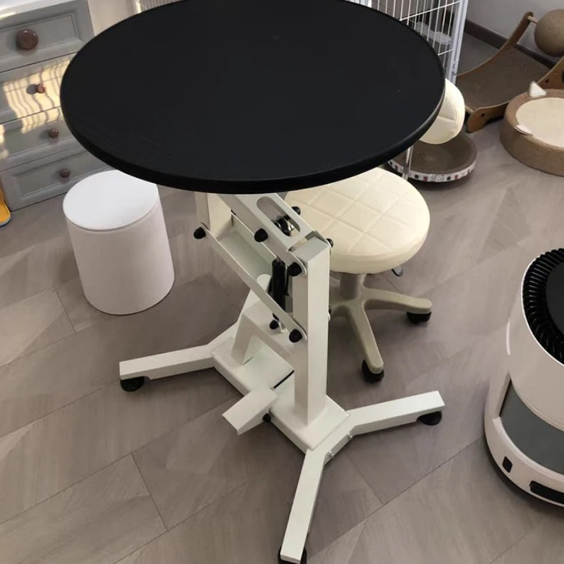 Pet Grooming Table for Small D - Hydraulic Floor Jack 리뷰 및 가격