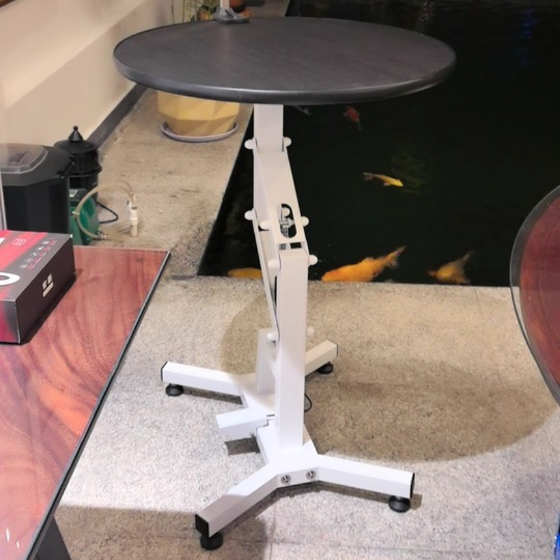 Pet Grooming Table for Small D - Hydraulic Floor Jack 리뷰 및 가격